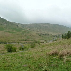P1000476.jpg