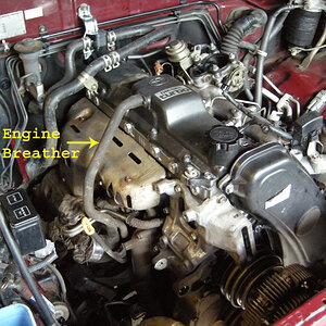 DSCN5965copy.jpg