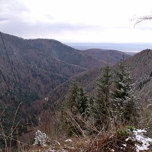DSCF0916.jpg
