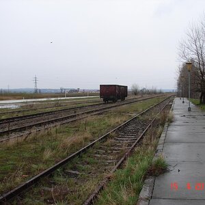DSC02650.jpg