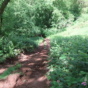 DSCF0636.jpg