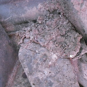 SDC10455.jpg