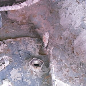 SDC10448.jpg