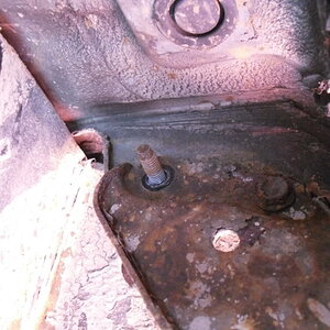 SDC10450.jpg