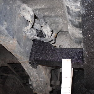 SDC10466.jpg
