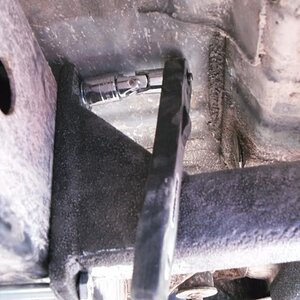 SDC10494.jpg