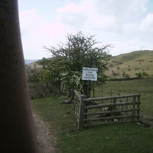 PICT0094.jpg