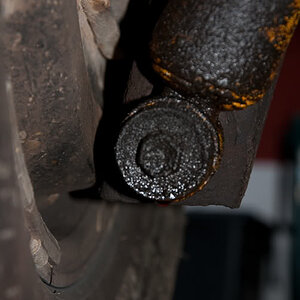 DSC_0244-1.jpg