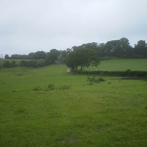 PICT0055.jpg
