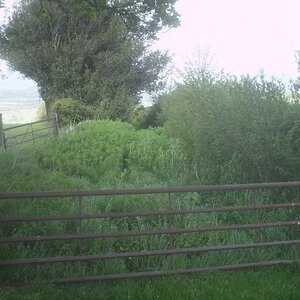 PICT0051.jpg