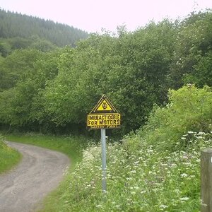 PICT0052.jpg