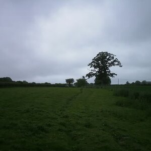 PICT0055.jpg