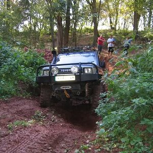 IMG_3367.jpg