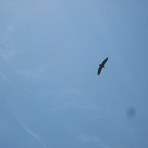 IMG_3353.JPG