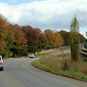 autumn_trees.jpe