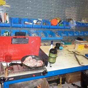 P1000141.jpg
