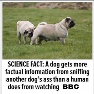 BBC.jpg