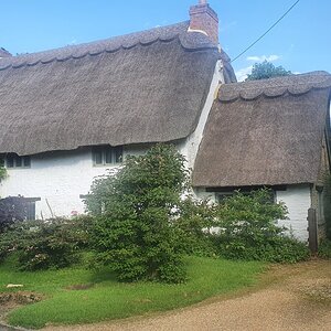 20210711_080745.jpg