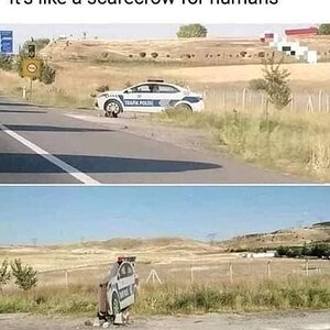 scarecrow.jpg