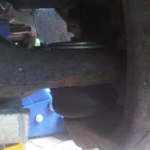 IMG00226-20110710-0950.jpg