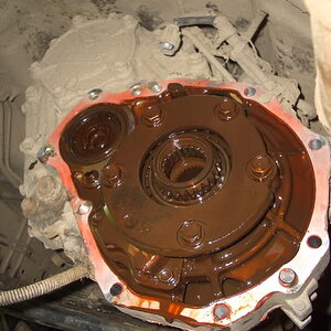 IMGP4416.jpg