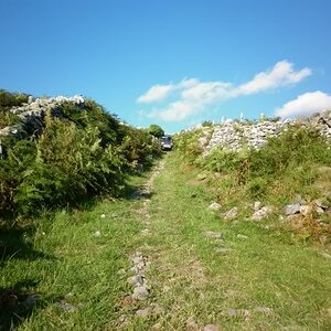 P1000763.jpg