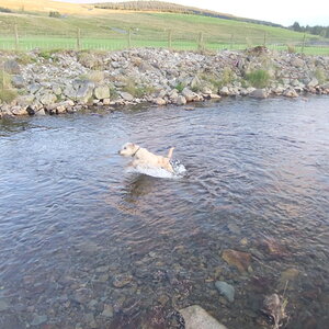 DSCF0940.jpg