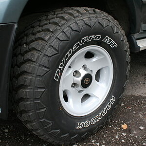 IMG_1225_2.jpg