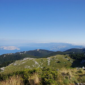 DSC02231.jpg
