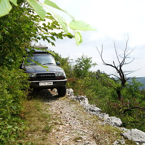 DSC02364.jpg