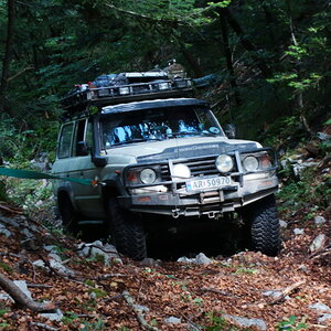 DSC02313.jpg