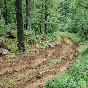 DSC02147.jpg