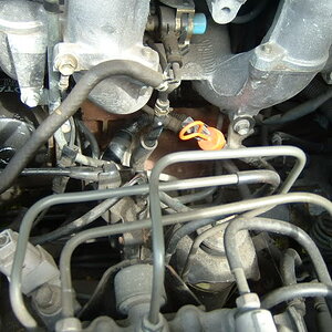 DSCF0032.jpg