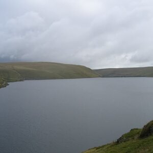 IMG_3287.jpg