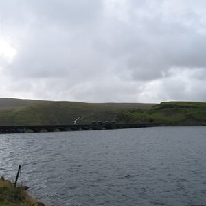 IMG_3290.jpg