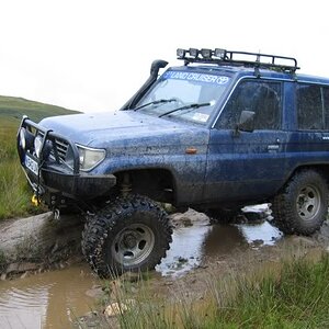 IMG_3305.jpg