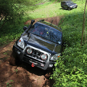 IMG9411-M.jpg