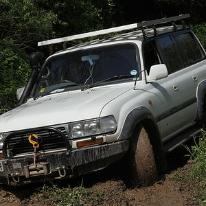 IMG9659-M.jpg