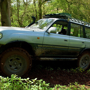 p942487721-5.jpg