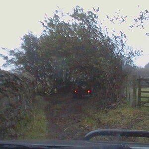 CAM_0444.jpg