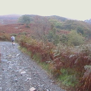 CAM_0442.jpg