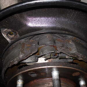 SDC10539.jpg