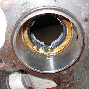 SDC10550.jpg