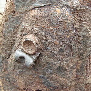 DSCN5248.jpg