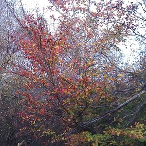 WP_000469.jpg