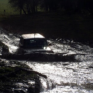 MeatSalisburyPlain-1.jpg