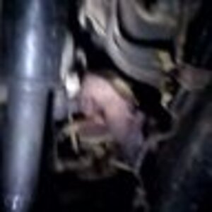 th_VIDEO0009.jpg