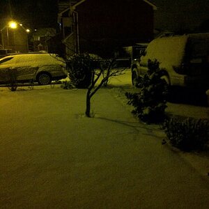 snow.jpg