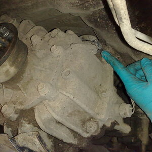 05032009059.jpg