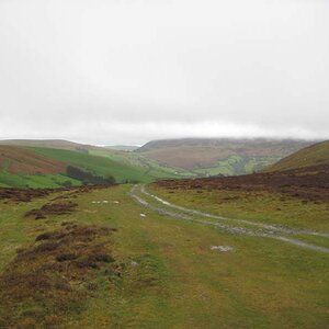 IMG_3873.jpg